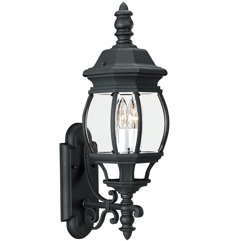 Wynfield Large Two Light Outdoor Wall Lantern